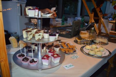 ulicni festival Okusi Posavja 2022 (50)